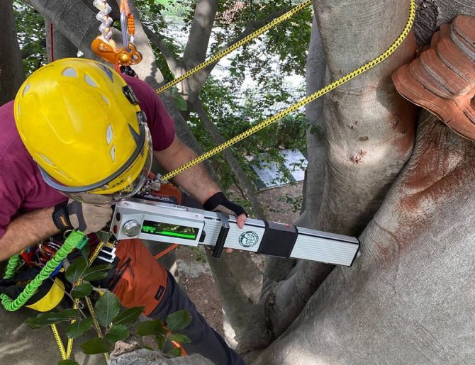 valutazione-stabilita-arboricoltori